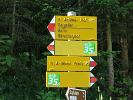 Sommerreise91