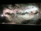IMG 3195