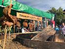 Herbstmesse 29