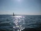 sommerreise83
