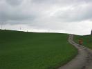 sommerreise83